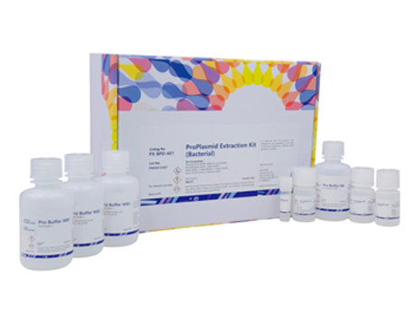 ProPlasmid Extraction (Bacterial)